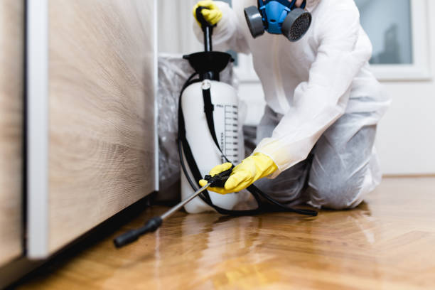 Best Commercial Pest Control Services  in Fort Bliss, TX