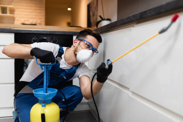 Best Cockroach Control Services  in Fort Bliss, TX