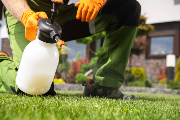 Best Affordable Pest Control Services  in Fort Bliss, TX