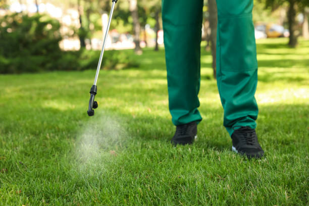Best Mosquito Control Services  in Fort Bliss, TX