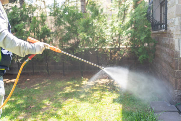 Best Termite Control Services  in Fort Bliss, TX