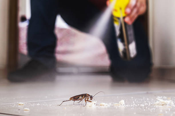 Best Bed Bug Extermination  in Fort Bliss, TX